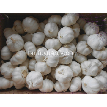 Jinxiang বিশুদ্ধ সাদা রসুন 6.0-6.5 সেমি